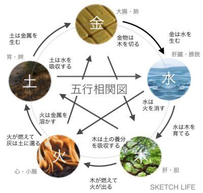 南東 風水|陽気で活発だけど注意が必要な南の方角。その運気と。